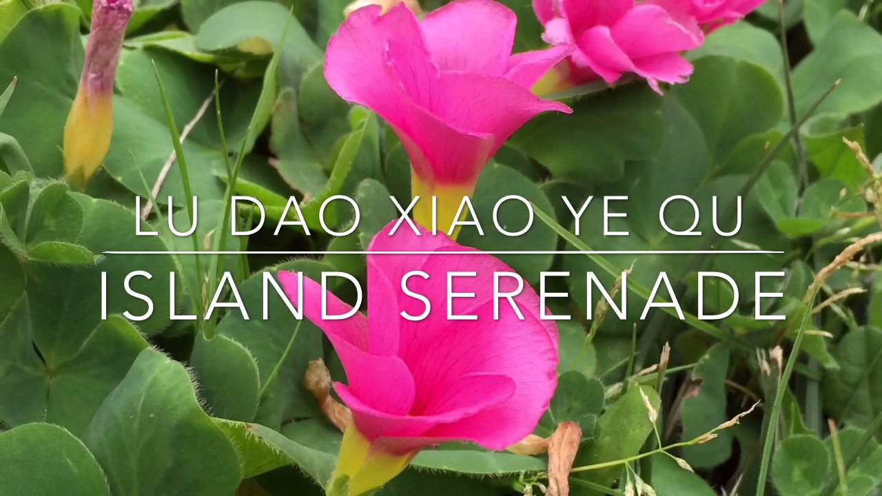 Lu Dao Xiao Ye Qu
