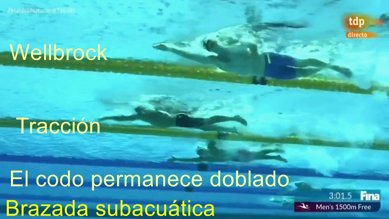 Detalles y resumen de la final 1500 masculino 2019 Gwangju Wellbrock Romanchuk y Paltrinieri
