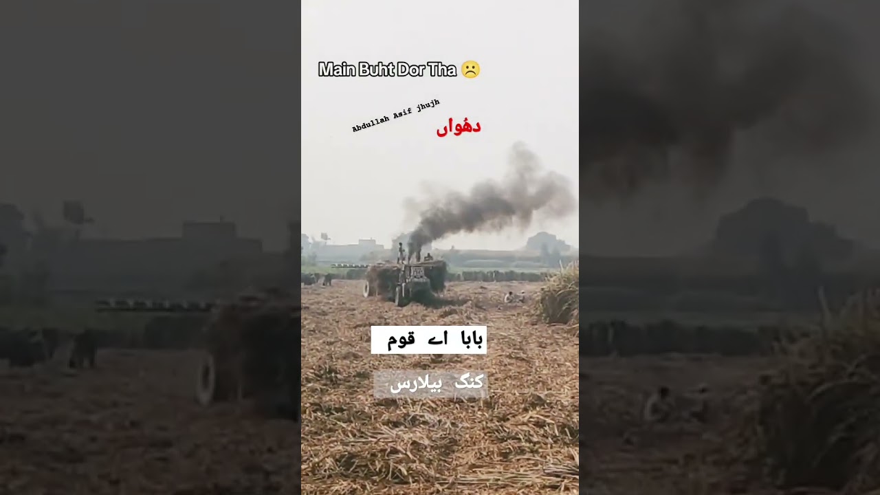 Belarus tractor Heavy smoke #sugercanefarm #sugercanejuice #potatofarming #385 #belarustractor