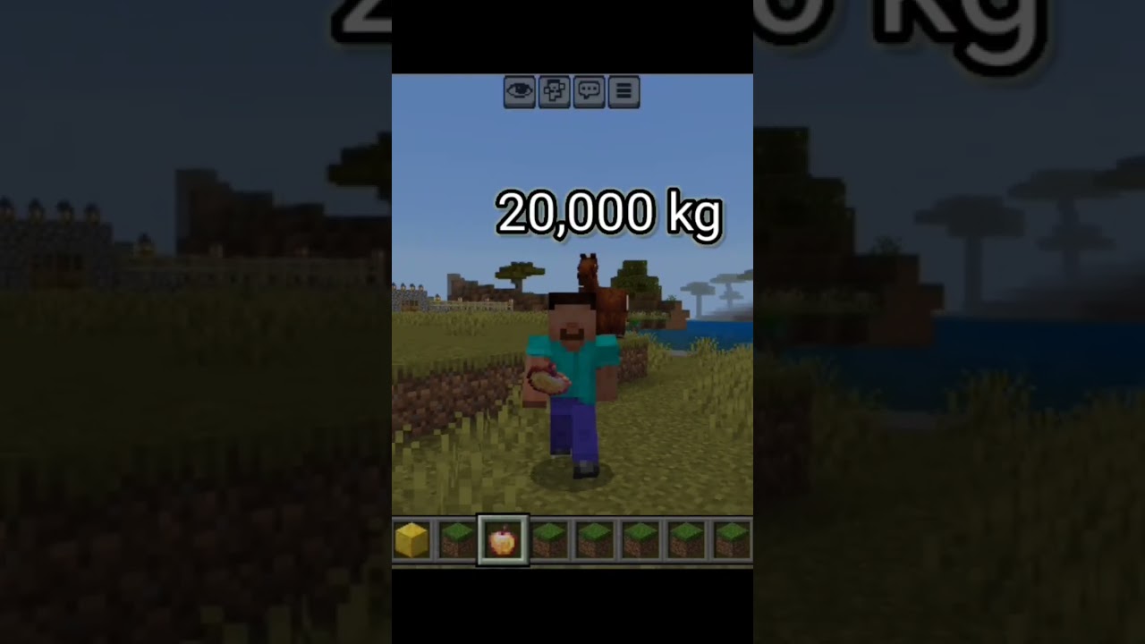how much steve can carry Weight? 