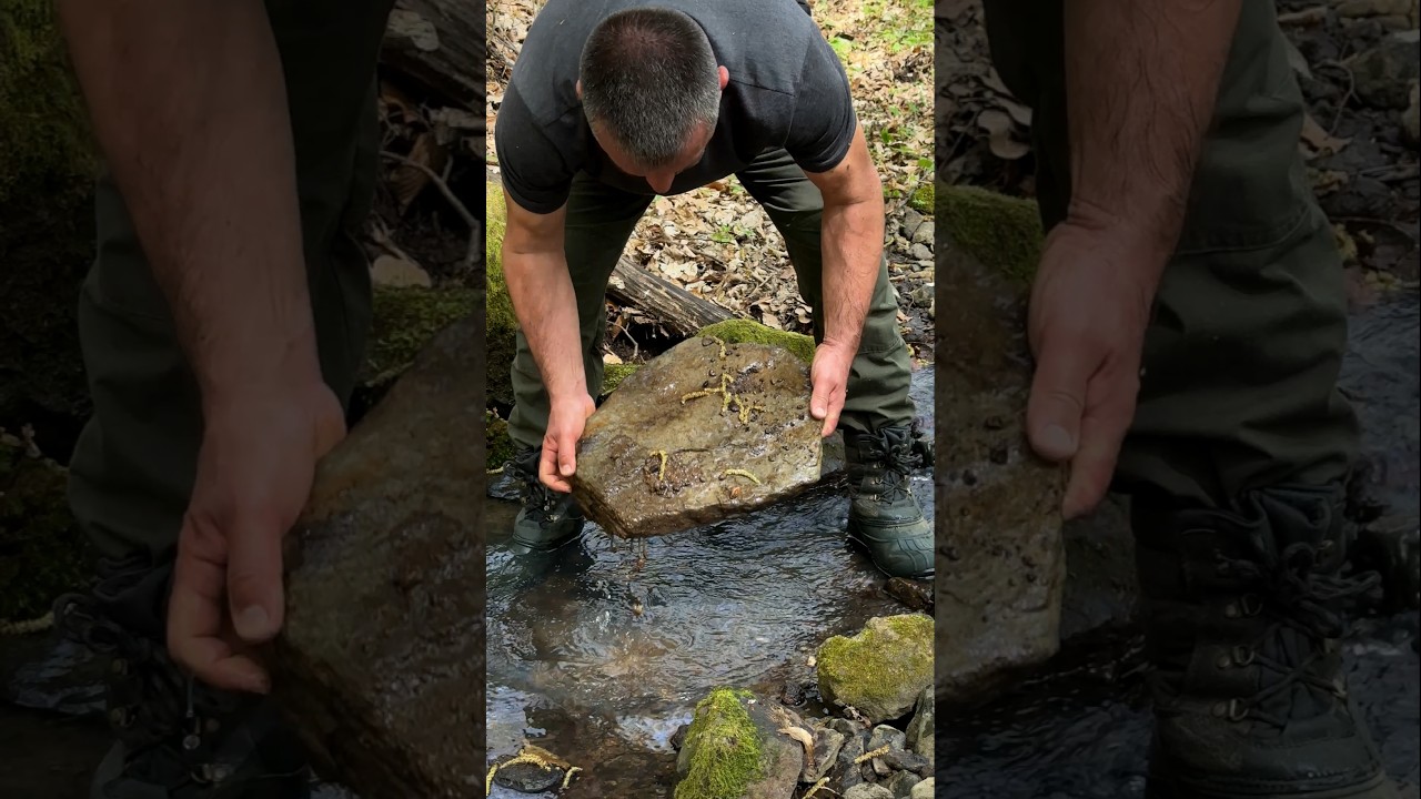Survival Skills: Strong Camping Chair from Natural Materials! #campping #survival #outdoors