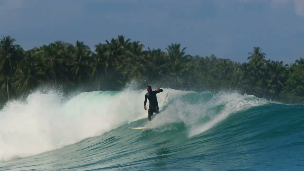 Trading waves with Sacha