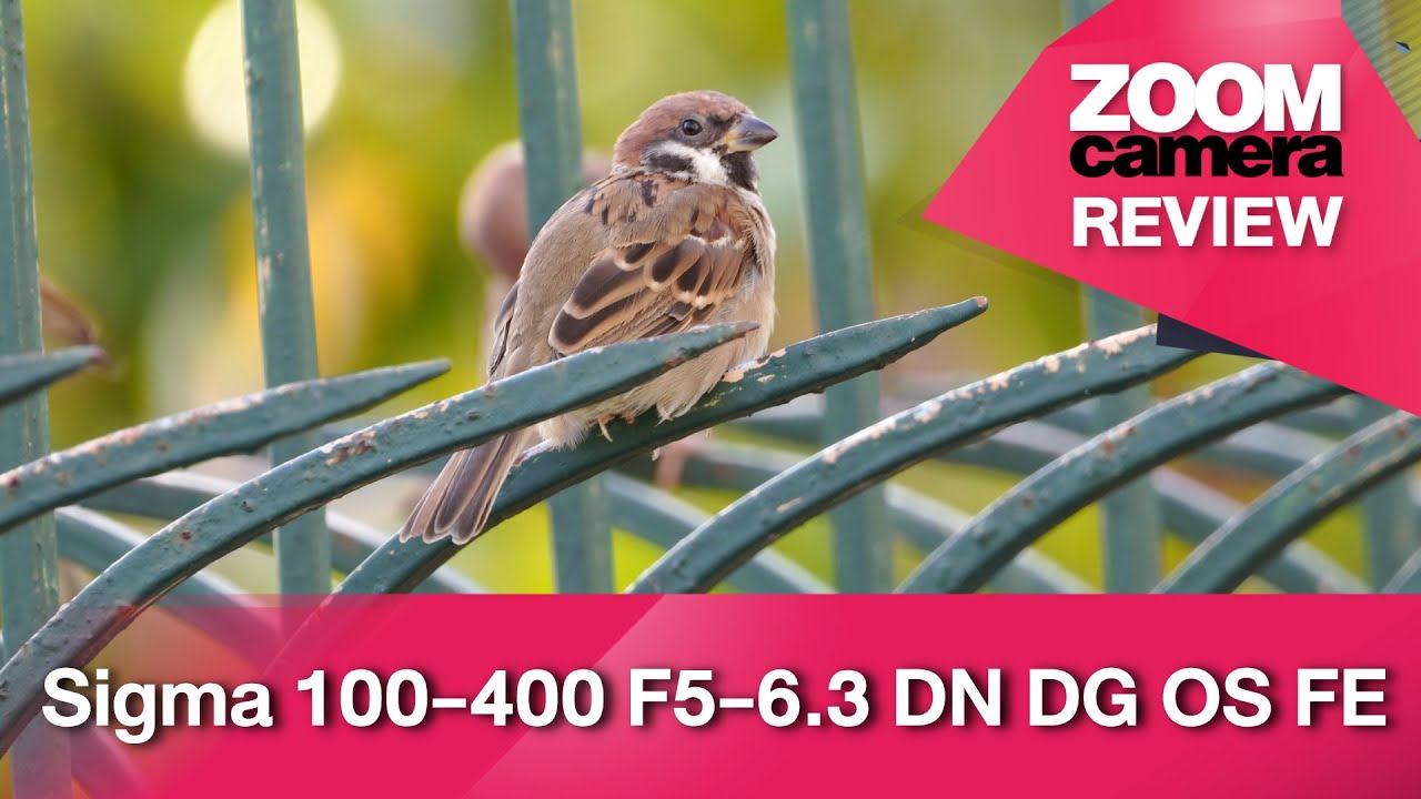 รีวิว Sigma 100-400mm. F5-6.3 DN DG OS เลนส์ Telephoto Fullframe E-Mount และ L-Mount