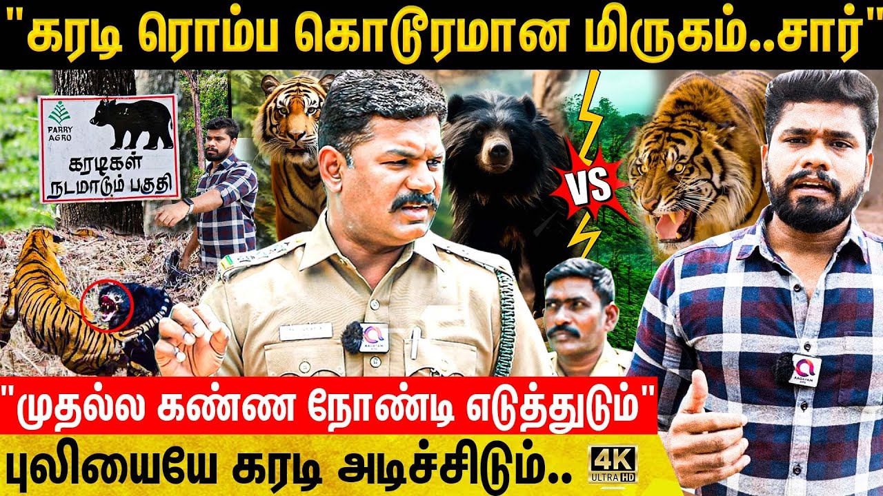 கேட்கவே பக்குனு இருக்கே😱 என்ன சார் சொல்றீங்க ! இவ்வளவு விஷயம் இருக்கா? | Ranger Explain Bear Secrets