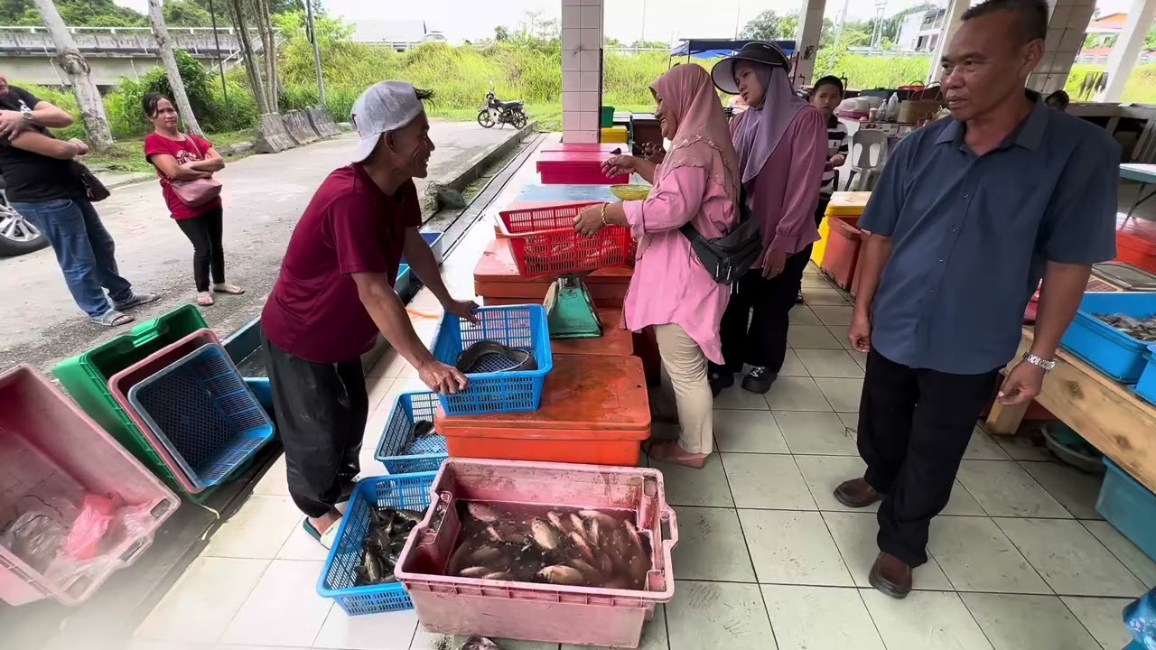 Pergi Ke Pasar ( Balai Ringin ) Beli Ikan Baung Fresh Baru Sampai Dari Sungai