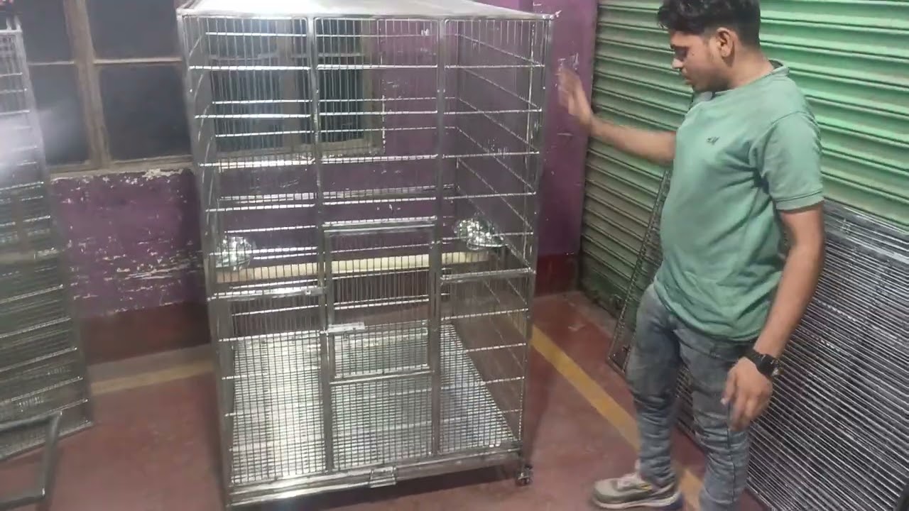 Steel Bird Cage  macaw, buggies, parrot, grey parrot,and love birds#birds #pets #pigeon #petlover 