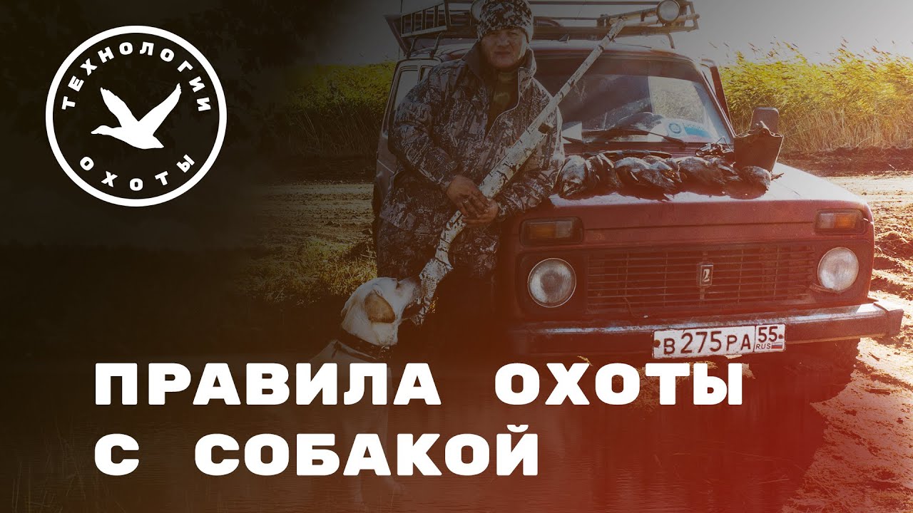 Правила охоты с собакой