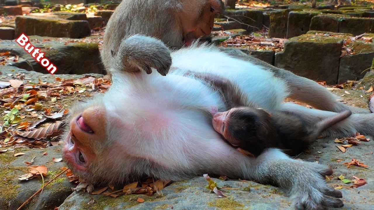 Button feels powerless after fulfilling her role as a mother so well