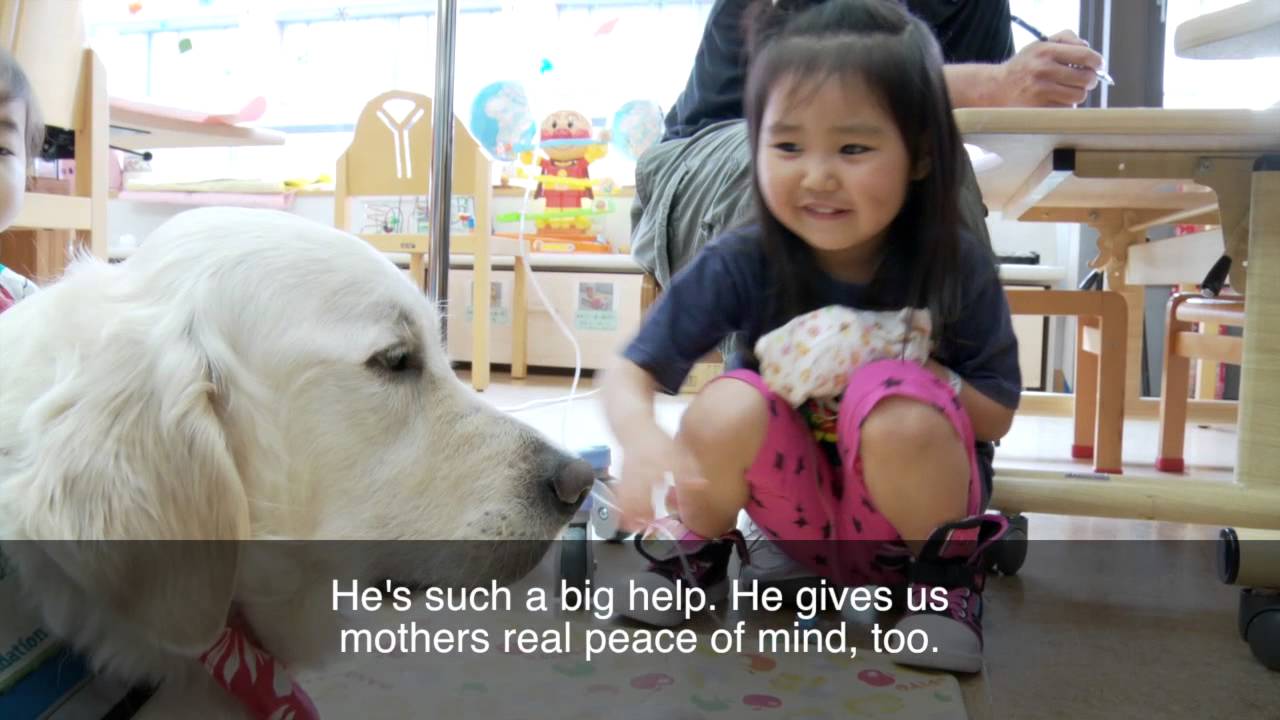 ! Shine On Kids - Facility Dog Program - Shizuoka Children Hospital - Interview - Moms