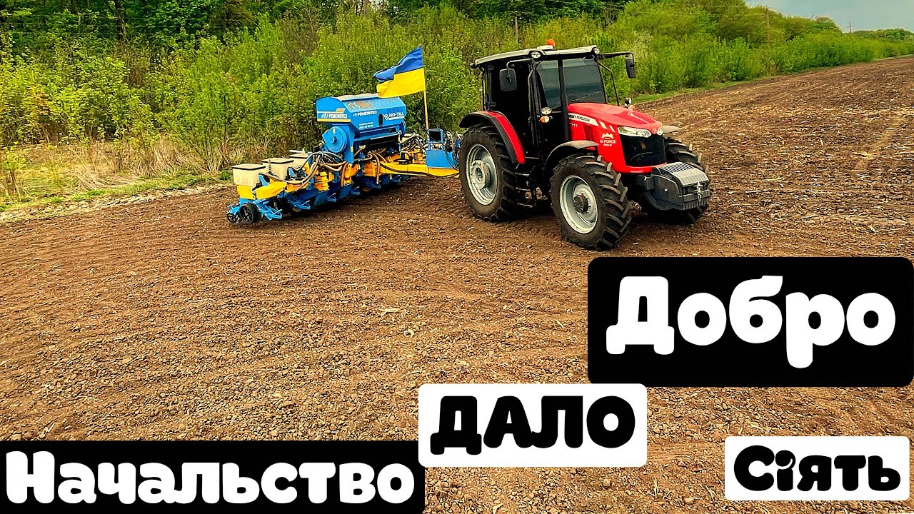 Пішла вода гаряча, соя MAximus в сухій землі💪300-400тис на га, міжряддя 35-70см,10,5-14шт на метр