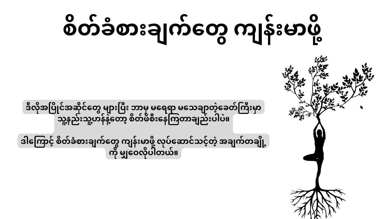 စိတ်ခံစားချက်တွေ ကျန်းမာဖို့၊ ဒေါက်တာဖြိုးသီဟ