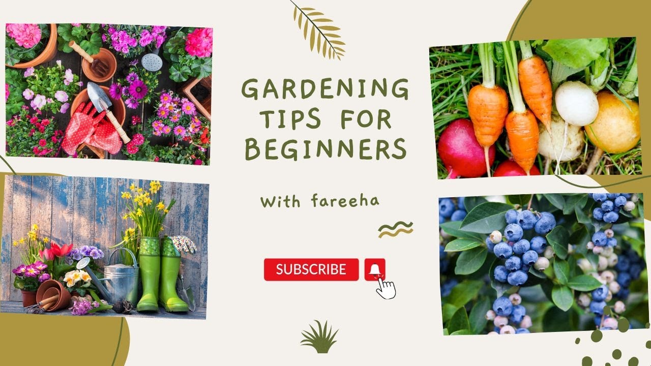 Gardening for Beginners/Simple Gardening Plan / Easiest Plan for  Gardening /Land Of Ideas