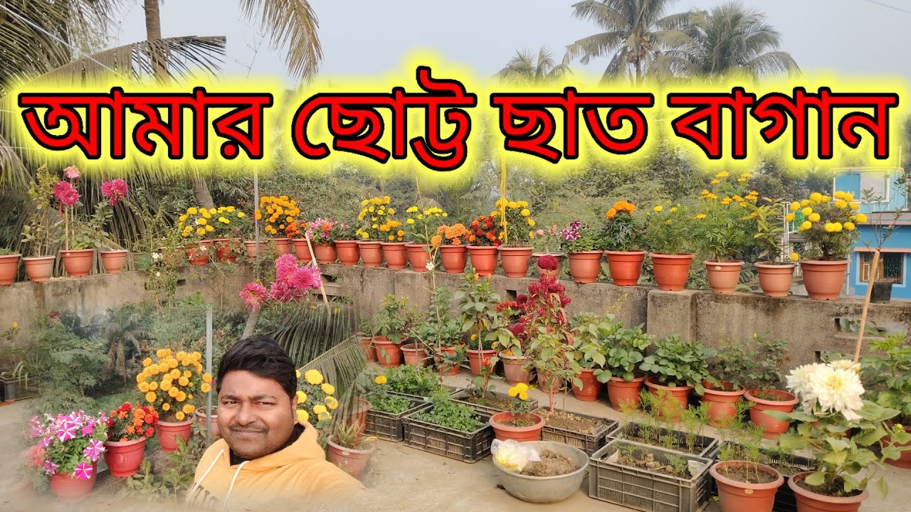 ছাদ বাগান। ছাদ বাগানের পরামর্শ।