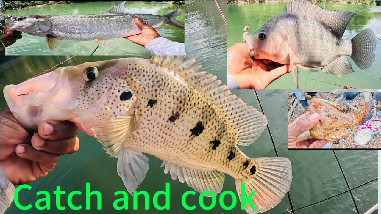 Creatures of the Belize river