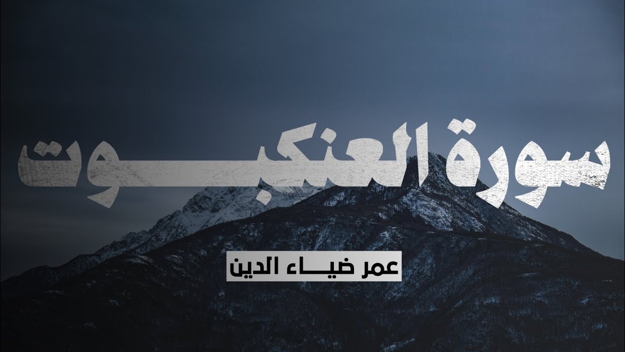 سور العنكبوت كاملة | عمر ضياء الدين (بدون مؤثرات)