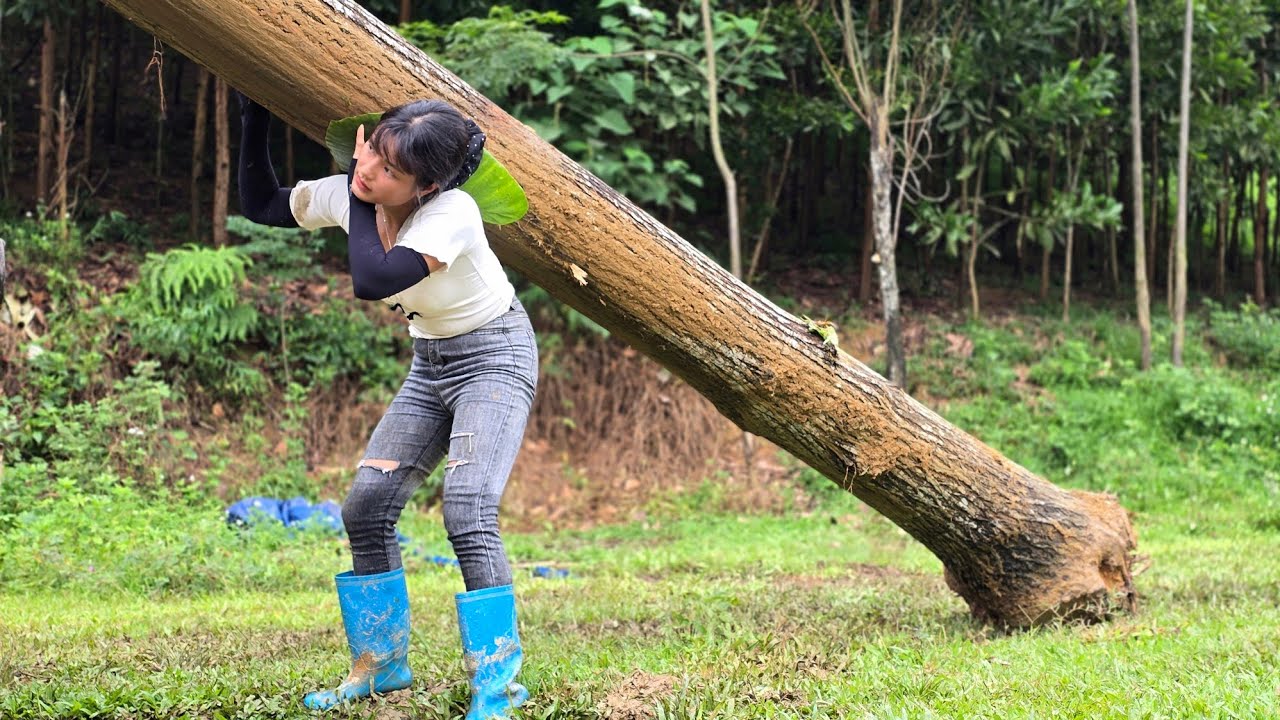 Agricultural trucks transporting wood are too simple for her#agricultural#farm#truck#farming 