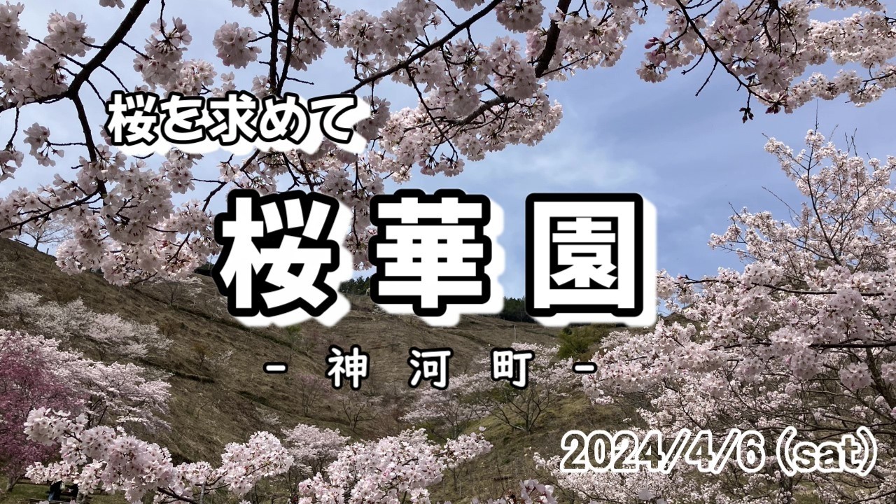 2024.4.6 桜華園（神崎郡神河町）