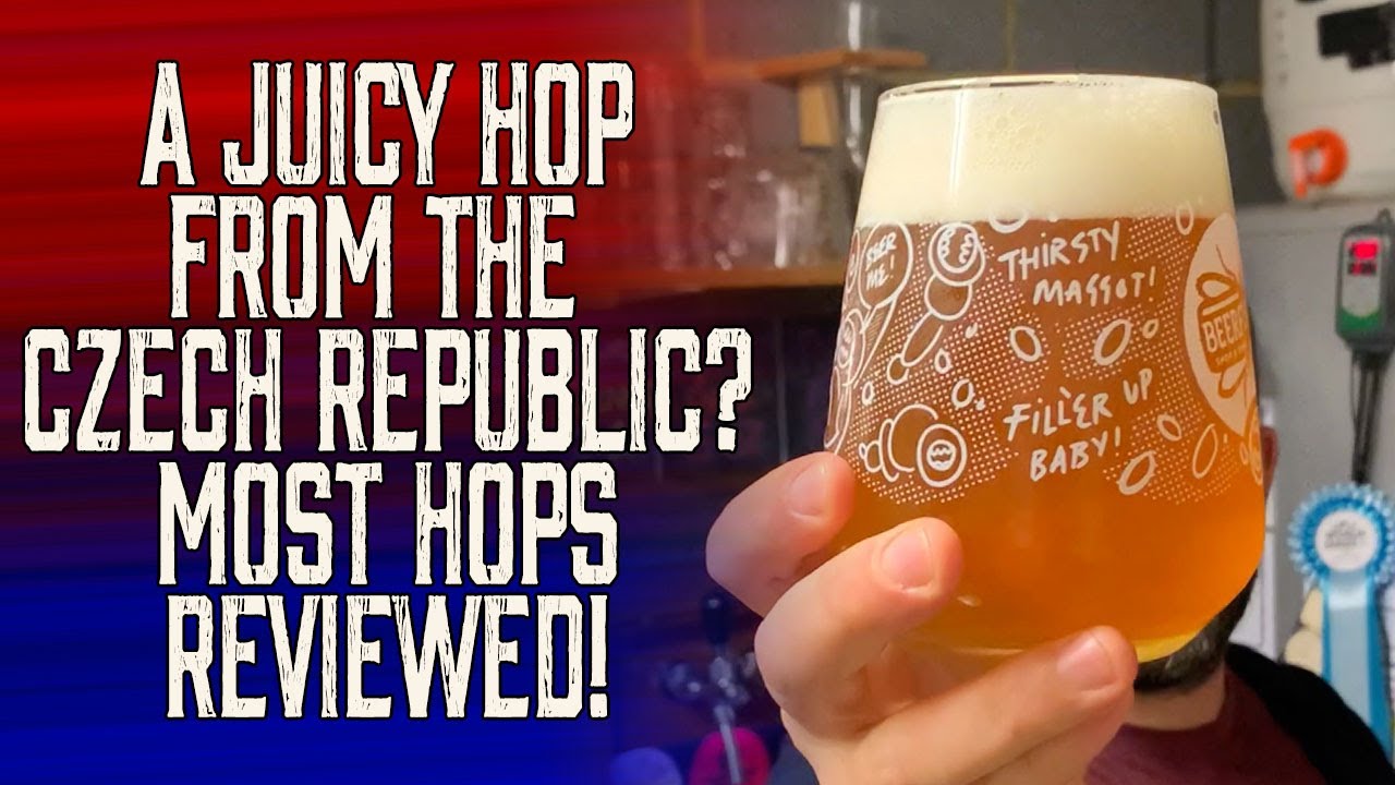 M&ouml;st Hops Tested and Reviewed - Is this a juicy hop from the Czech Republic?