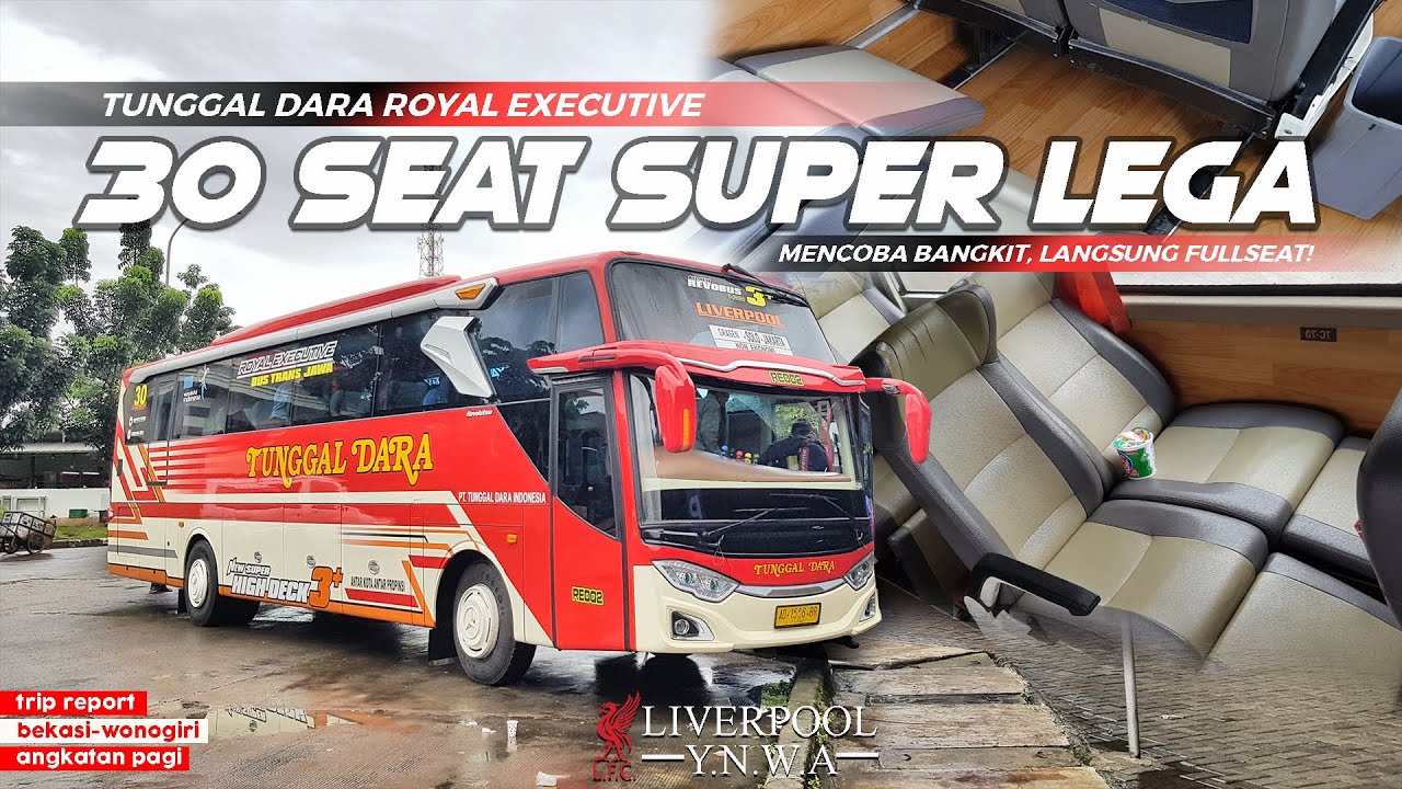 [ Bus Pribumi, ANGKATAN PAGI ] Armada FRESH, Fasilitas LENGKAP! - Trip Tunggal Dara Royal Executive
