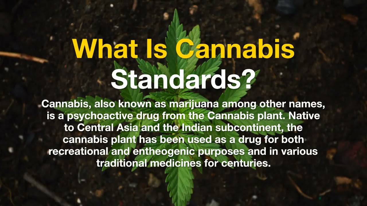 Detail About Cannabis Standards By IROA Technologies