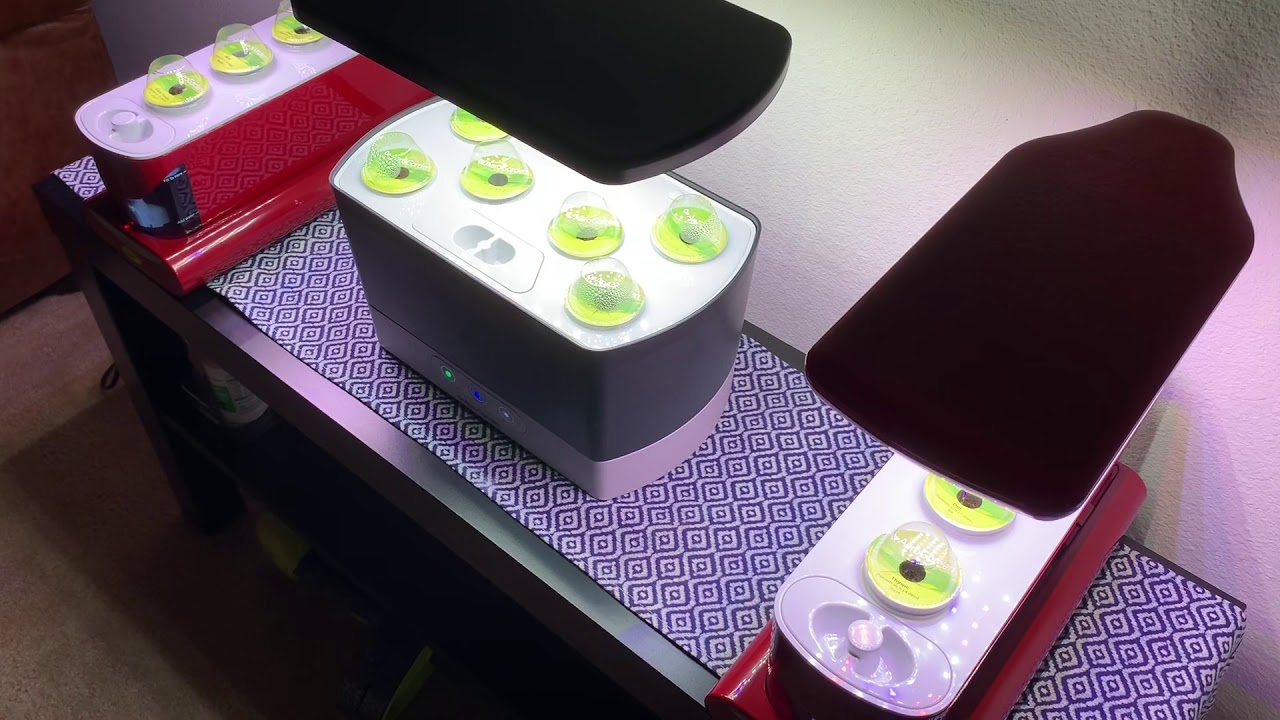 5 AeroGarden Tips for Beginners