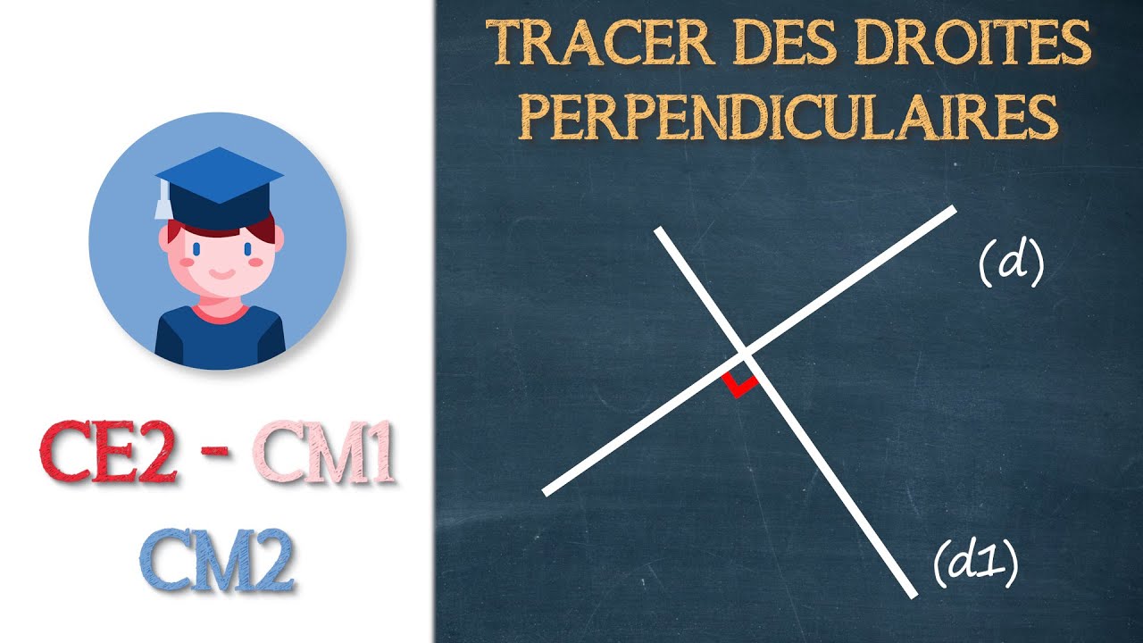 Comment tracer des droites perpendiculaires ? - CE2 CM1 CM2 - Petits Savants