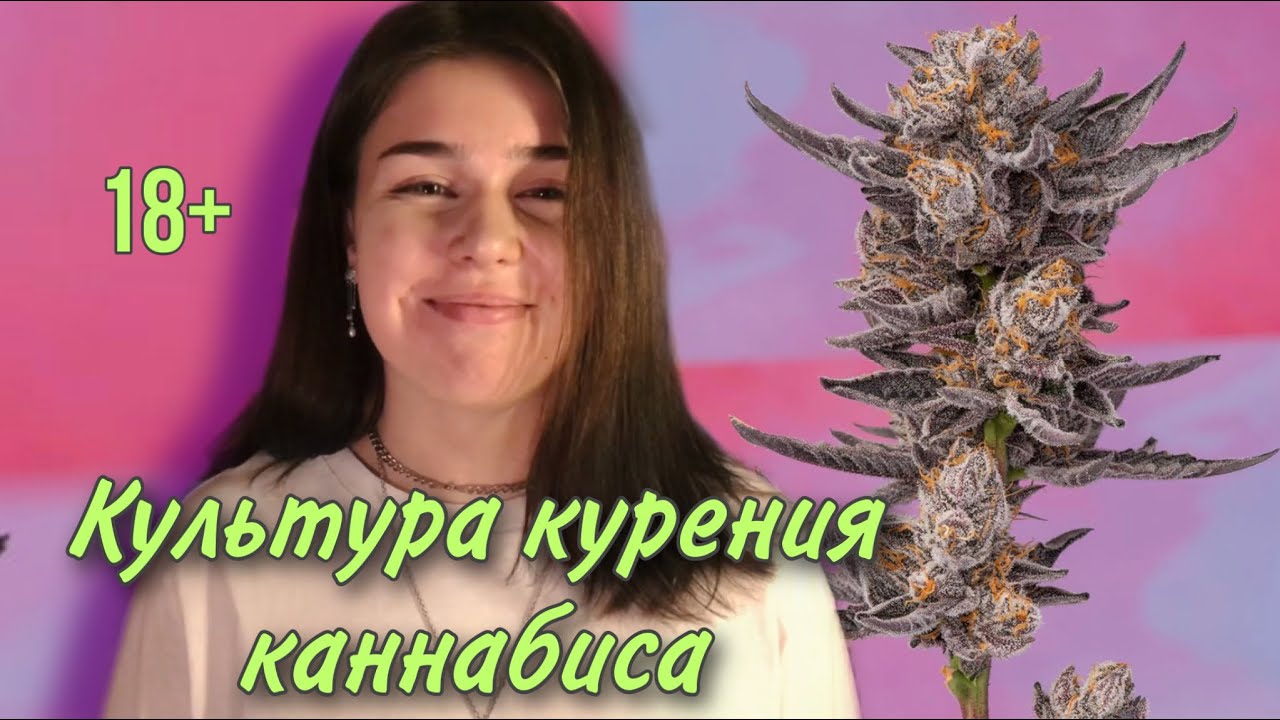 КУЛЬТУРА КУРЕНИЯ/RASTA BABY CANNABLOG