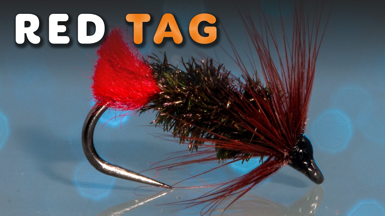 Red Tag – skuteczna mokra mucha na klenia, jazia i pstrąga | Fly Tying