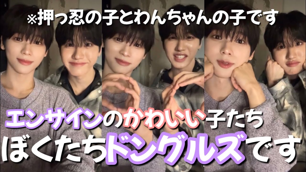 【n.SSign】ぼくたちドングルズです🧸🐶/カズタ美談/大学生ヒウォン/拗ね顔ドハ/日本語字幕