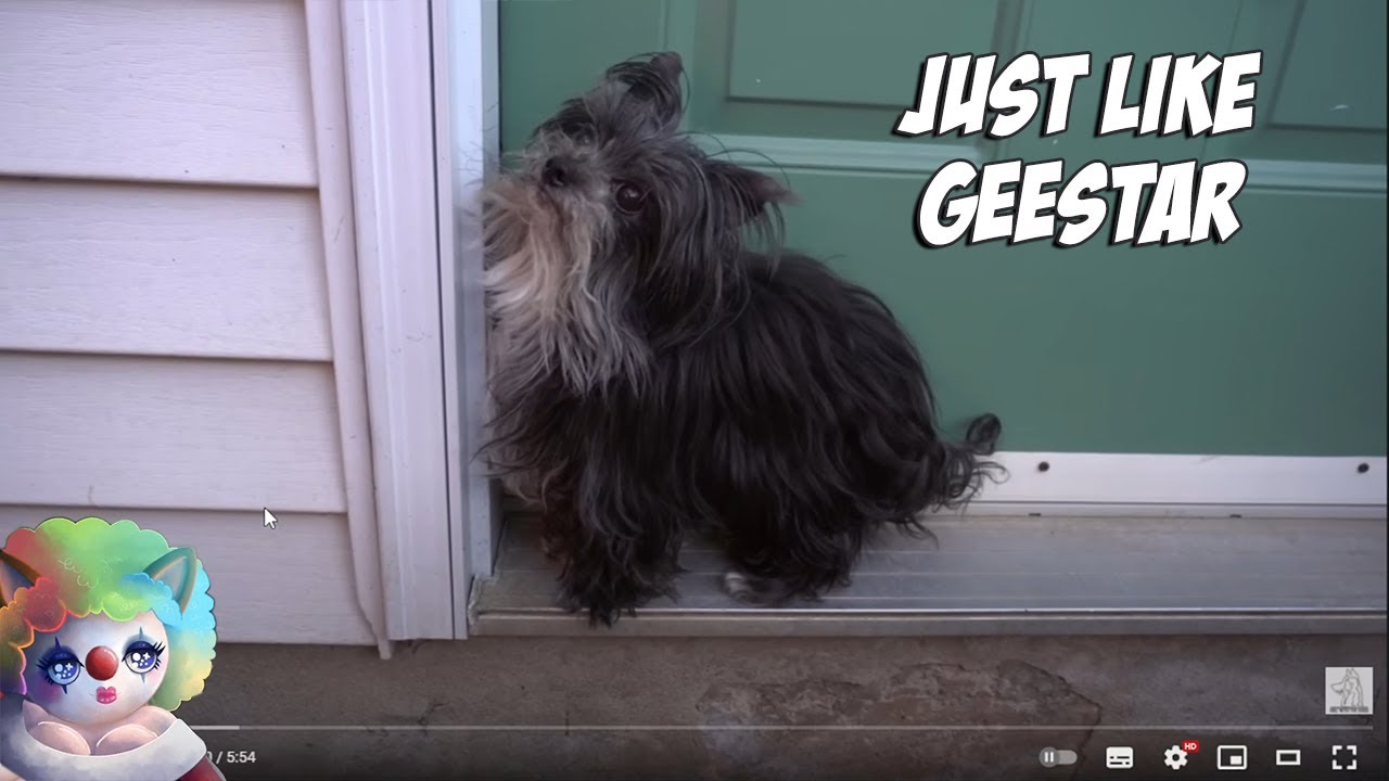 Just like Geestar