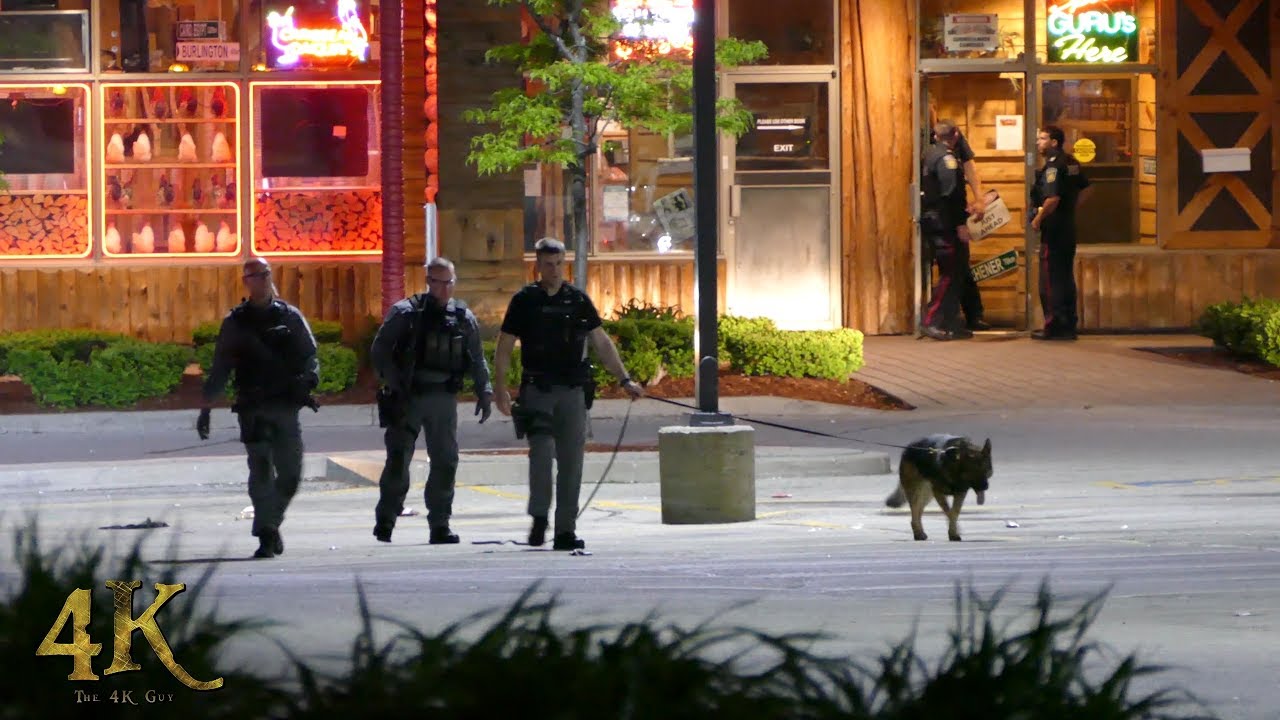Mississauga: Tactical and K9 canvassing the scene of an incident 5-28-2017