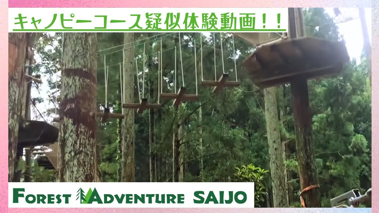 キャノピーコース🌲✨疑似体験動画🥰フォレストアドベンチャー西条