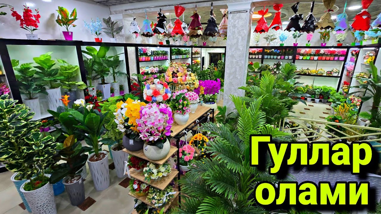 Арзон  Гул  дукони.