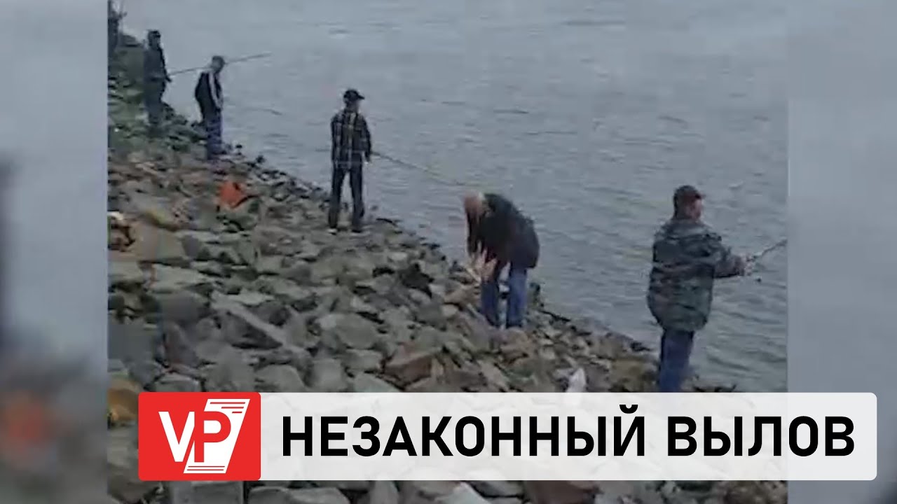 В  ВОЛГОГРАДЕ ЛЮБИТЕЛЮ РЫБАЛКИ ГРОЗИТ ШТРАФ ЗА НЕЗАКОННЫЙ ВЫЛОВ