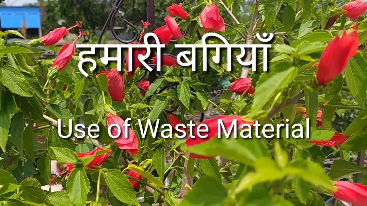 Garden |  Use of Waste Material for Gardening
