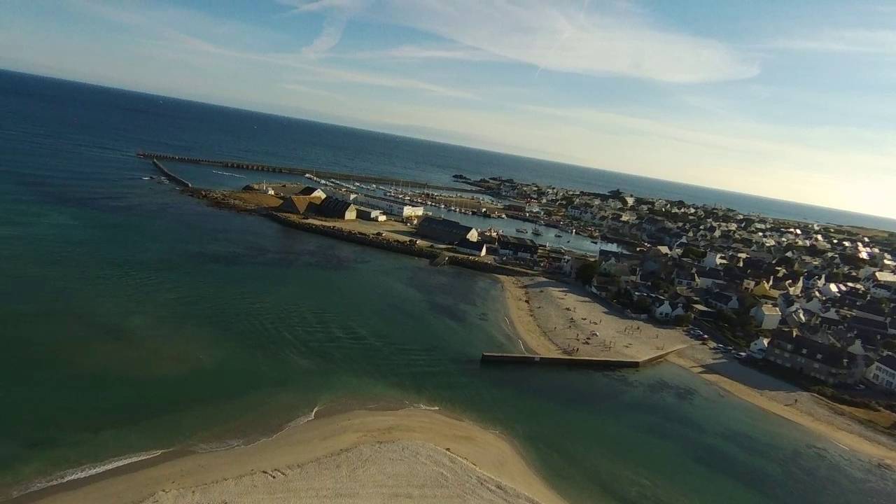 Parrot Disco Bretagne 2