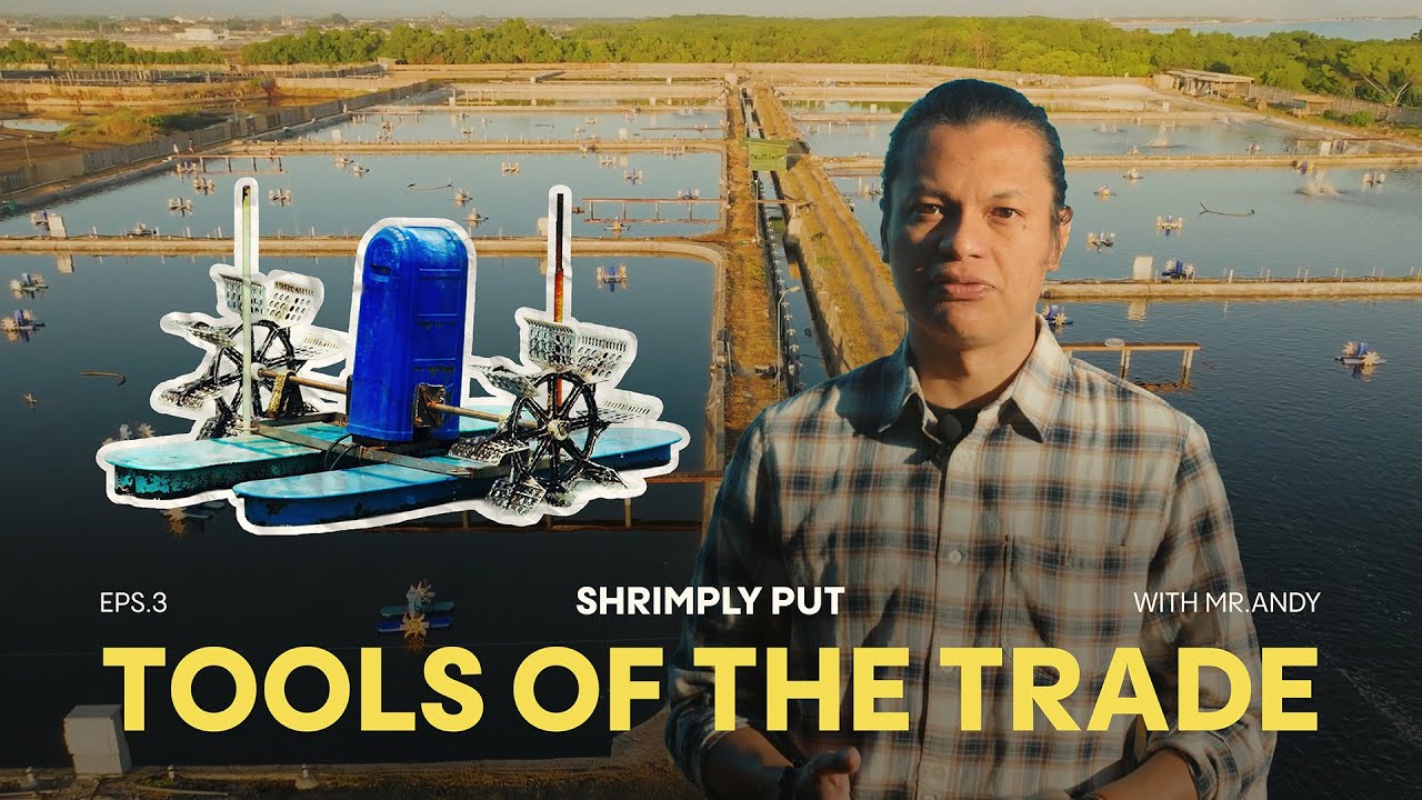Shrimply Put Eps. 3: The Essential Machines Behind Every Shrimp Pond