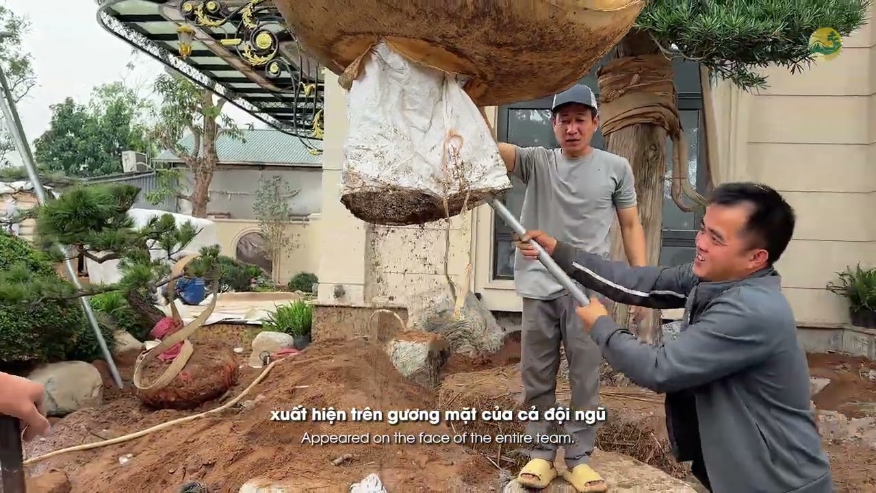 [CHUYẾN XE CUỐI NĂM – KHI DI SẢN XANH TÌM VỀ MIỀN AN TRÚ]