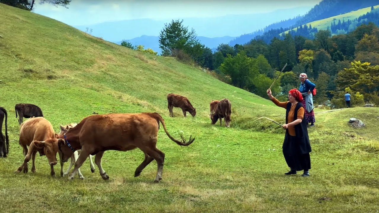 Baginilah kehidupan di desa pegunungan Turki