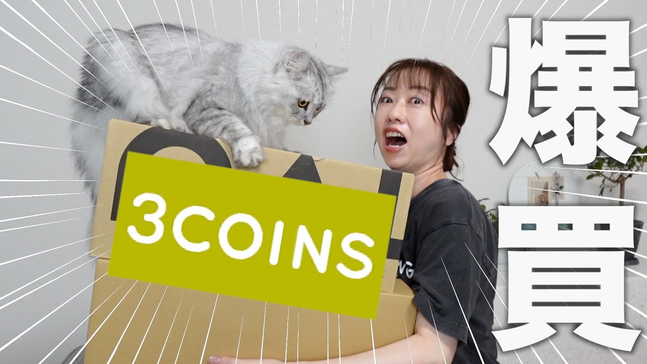 【スリコ購入品】完売するほど人気！おすすめのアイテムを紹介！