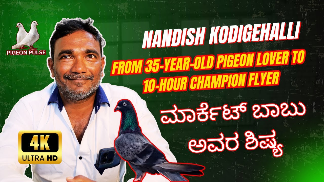 Nandish Kodigehalli – From 35-Year-Old Pigeon Lover to 10-Hour Champion Flyer | ಮಾರ್ಕೆಟ್ ಬಾಬು ಅವರ