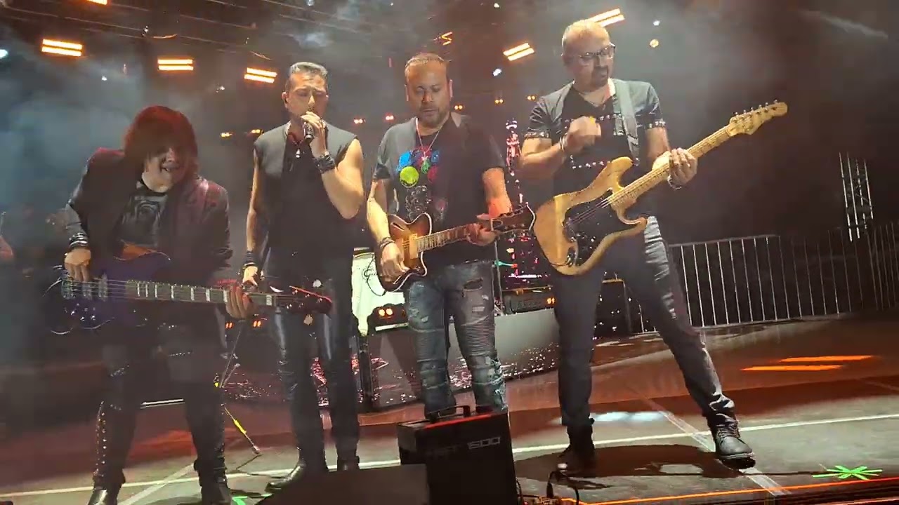 Elefante se detiene el tiempo