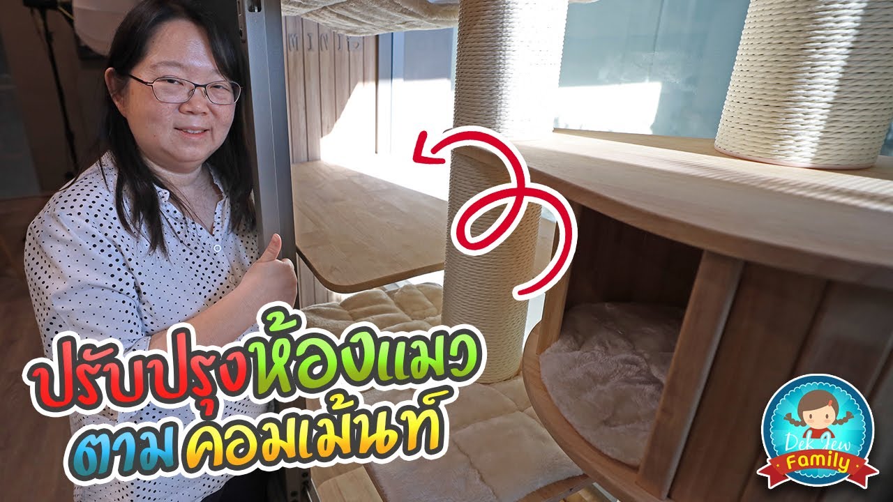 ปรับปรุงห้องแมว ตามคอมเม้นท์