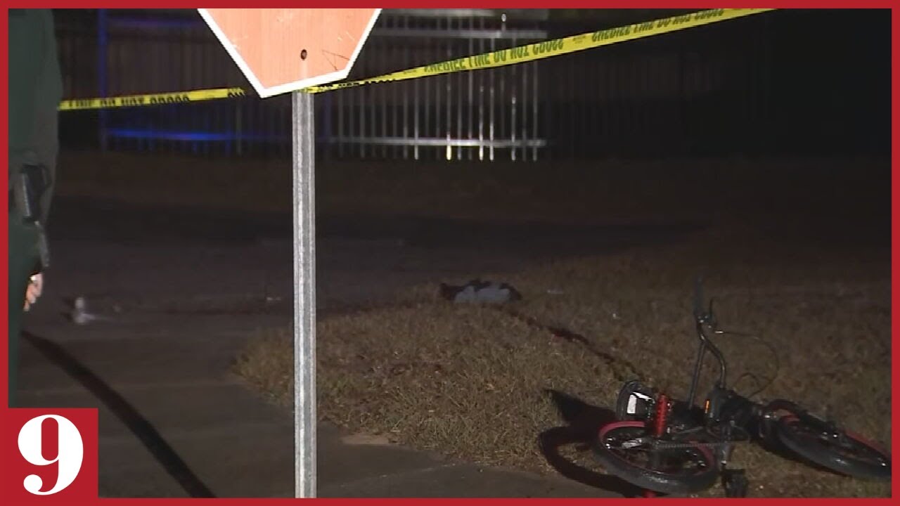 Two Dogs, Including Pitbull, Fatally Attack 8-Year-Old in Florida