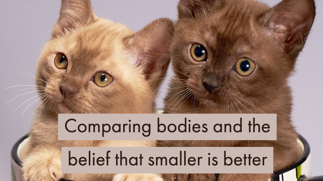 Comparing bodies and the belief that smaller is ”better”