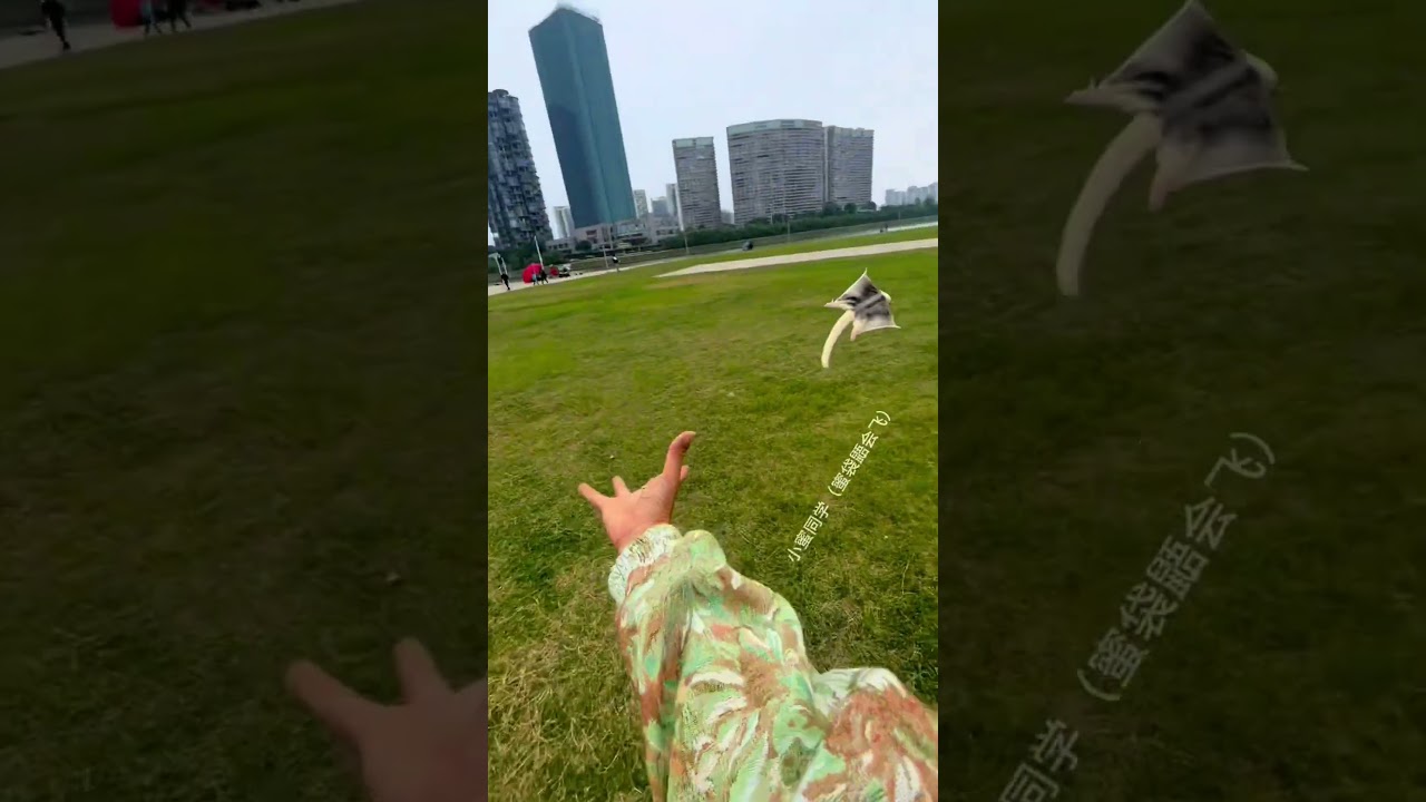 Soaring Dreams! Sugar Glider&rsquo;s Adorable Journey to Master Gliding!  #sugerglider #pets