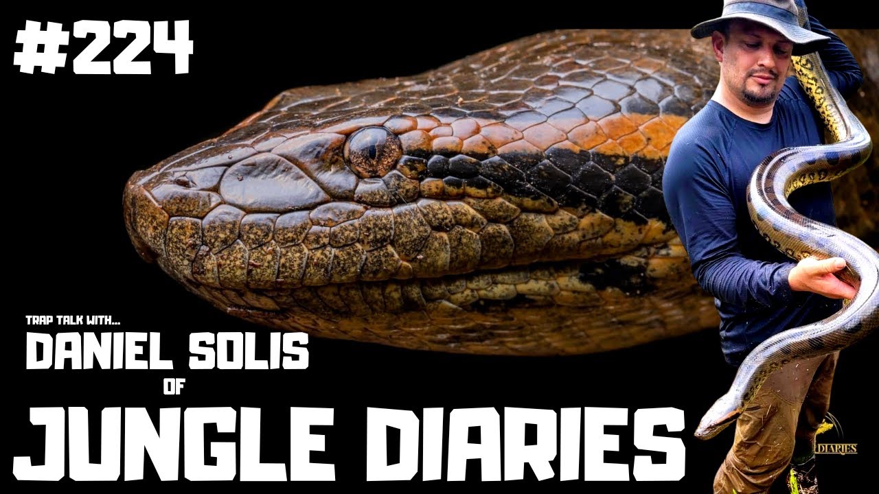 Daniel Solis Speaks On The Jungle Diaries & How To Travel With Little Money | The Reptile Factory