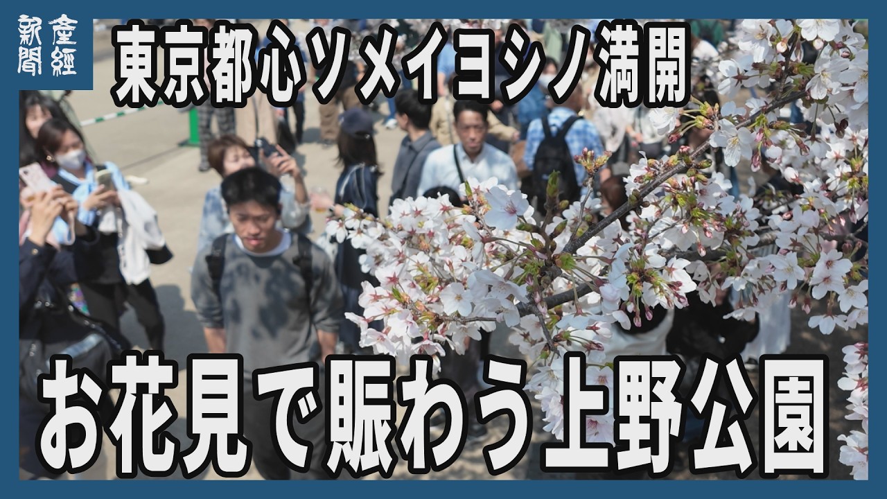 お花見で賑わう上野公園　東京都心ソメイヨシノ満開