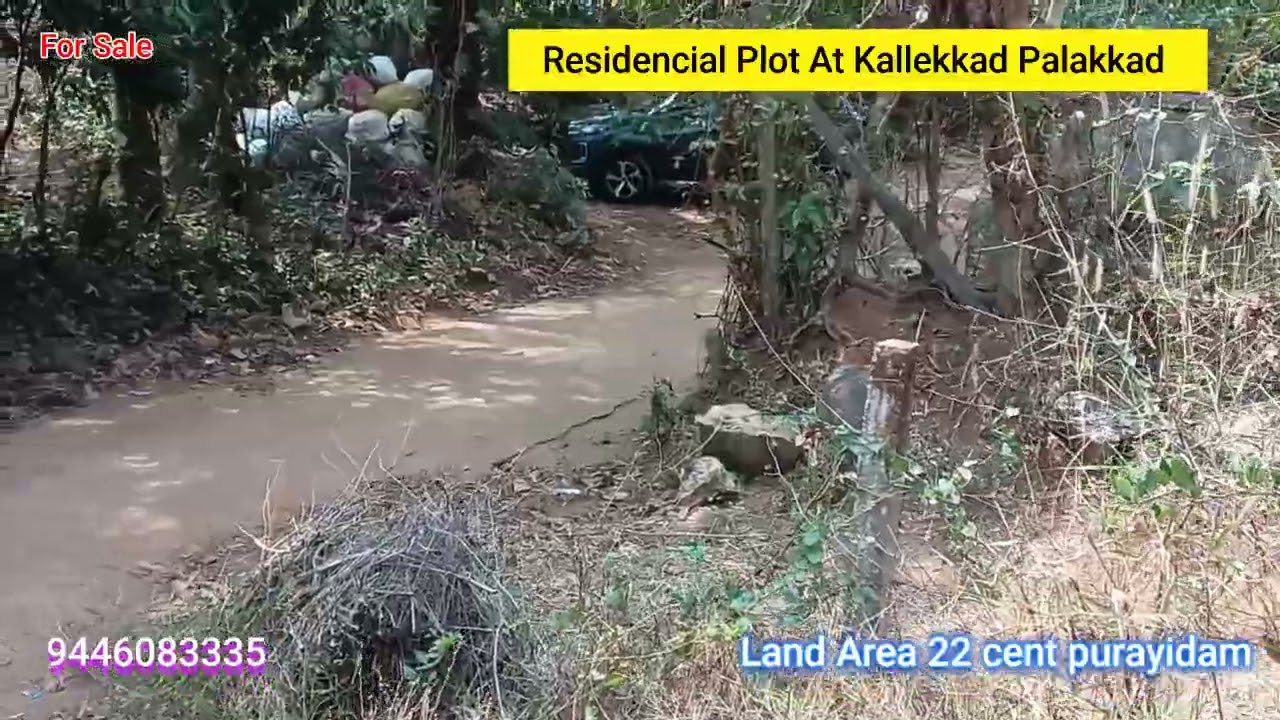 Residencial Plot For Sale in Kallekkad  palakkad