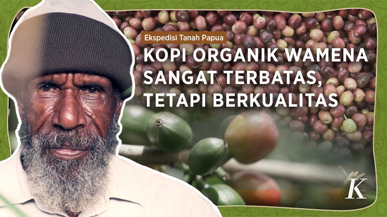 Kopi Organik Berkualitas, Tetapi Terbatas